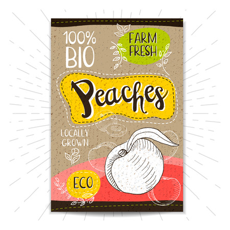 Colorful label in sketch style, food, spices, cardboard textured background. Peaches Fruits. Bio, eco, farm, fresh. locally grown. Hand drawn vector illustrationのイラスト素材