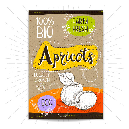 Colorful label in sketch style, food, spices, cardboard textured background. Apricots Fruits. Bio, eco, farm, fresh. locally grown. Hand drawn vector illustrationのイラスト素材