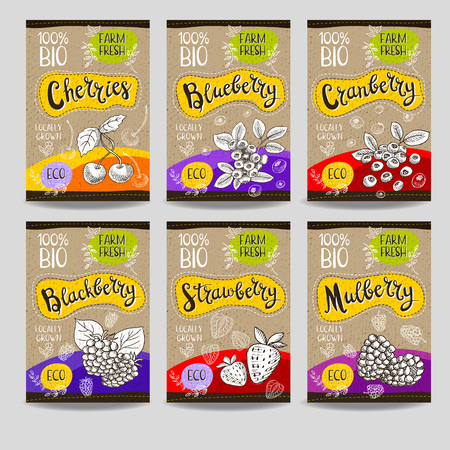 Set of colorful labels, sketch style food spices, cardboard texture. Cherries, strawberry, blueberry, cranberry, blackberry, mulberry. Organic fresh bio eco. Hand drawn vector illustrationのイラスト素材