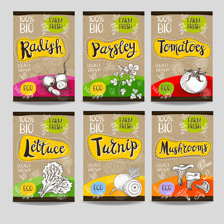 Set of colorful labels, sketch style food spices, cardboard texture. Radish, parsley, tomatoes, lettuce, turnip, mushrooms. Vegetables farm fresh locally grown. Hand drawn vector illustrationのイラスト素材