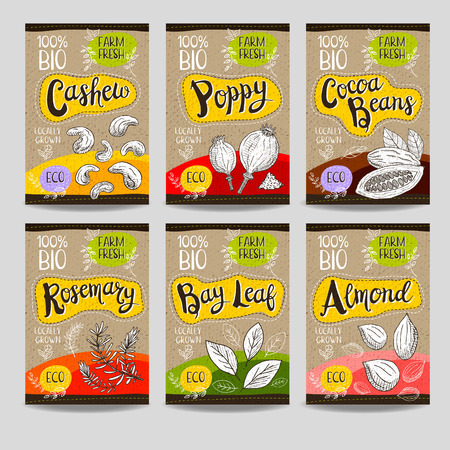 Set of colorful labels, sketch style food spices, cardboard texture. Cashew, poppy, cocoa beans, almond, bay leaf, rosemary. Vegetables farm fresh locally grown. Hand drawn vector illustration.のイラスト素材
