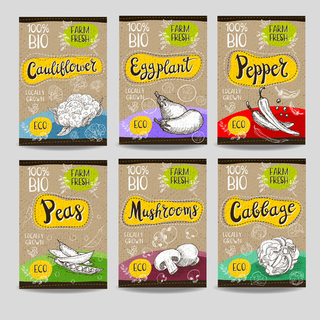Set of colorful labels, sketch style food spices, cardboard texture. Cauliflower, eggplant, peas, mushrooms, pepper, cabbage. Vegetables, farm fresh Hand drawn vector illustrationのイラスト素材
