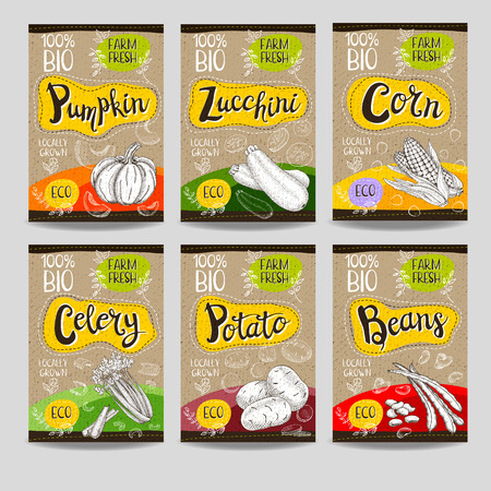 Set of colorful labels, sketch style food spices, cardboard texture. Pumpkin, zucchini, corn, celery, potato, beans. Vegetables farm fresh locally grown. Hand drawn vector illustrationのイラスト素材
