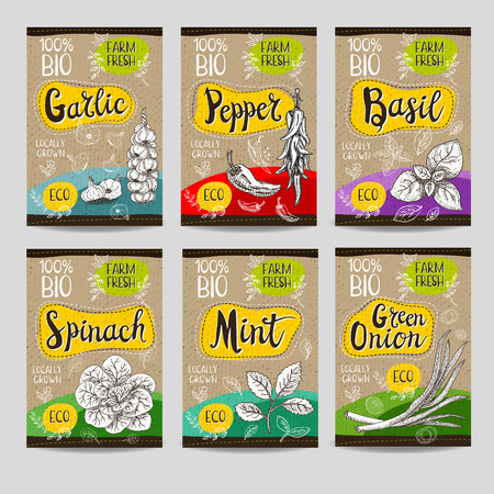 Set of colorful labels, sketch style food spices, cardboard texture. Garlic, pepper, basil, spinach, mint, green onion. Vegetables, farm fresh locally grown. Hand drawn vector illustrationのイラスト素材