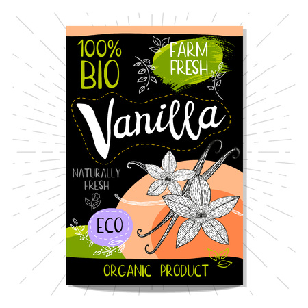 Colorful label in sketch style, food, spices, black background. Vanilla sticks flowers. Spice. Bio, eco, farm, fresh.のイラスト素材