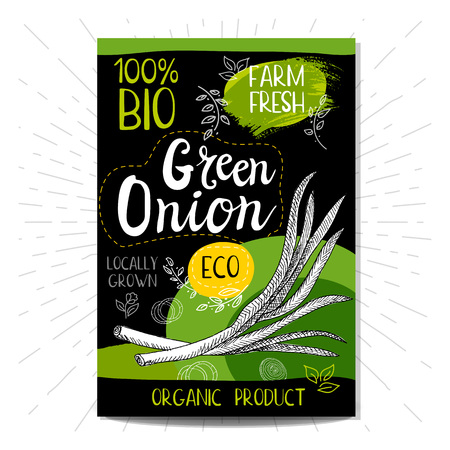 Colorful label in sketch style food spices, black background. Green onion. Vegetables. Bio, eco, farm, fresh. locally grown. Hand drawn illustrationのイラスト素材