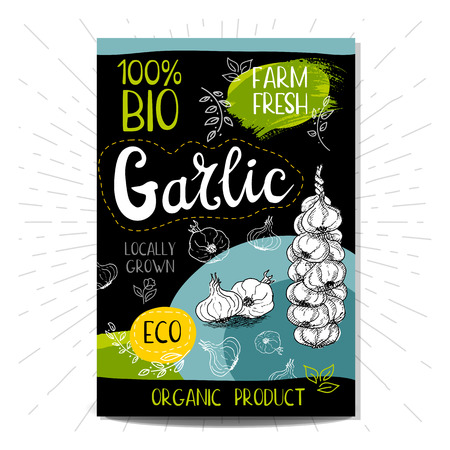 Colorful label in sketch style food spices, black background. Garlic. Vegetables. Bio, eco, farm, fresh. locally grown.のイラスト素材