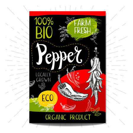 Colorful label in sketch style food spices, black background. Pepper. Vegetables. Bio, eco, farm, fresh. locally grown.のイラスト素材