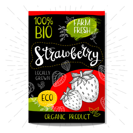 Colorful label in sketch style, food, spices, black background. Strawberry Fruits. Bio, eco, farm, fresh.のイラスト素材