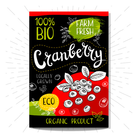 Colorful label in sketch style, food, spices, black background. Cranberry Fruits. Bio, eco, farm, freshのイラスト素材