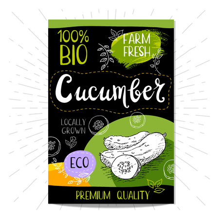 Colorful label in sketch style food spices, black background. Cucumber. Vegetables. Bio, eco, farm, fresh. locally grown.のイラスト素材
