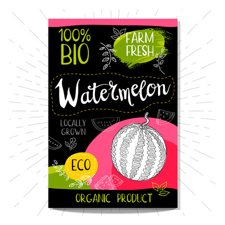 Colorful label in sketch style, food, spices, black background. Watermelon Fruits. Bio, eco, farm, fresh. locally grown Hand drawn illustrationのイラスト素材