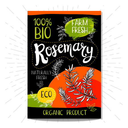 Colorful label in sketch style, food, spices, black background. Rosemary Spice. Bio, eco, farm, fresh. locally grown Hand drawn illustrationのイラスト素材