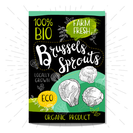 Colorful label in sketch style, food, spices, black background. Brussels sprouts Vegetables Bio, eco, farm, fresh. locally grown Hand drawn illustrationのイラスト素材