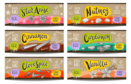 Set of colorful labels sketch style food spices, cardboard texture, horizontal. Cinnamon vanilla, cardamom star anise nutmeg, clove. Spices, vegan food, organic product. Hand drawn vector illustrationのイラスト素材