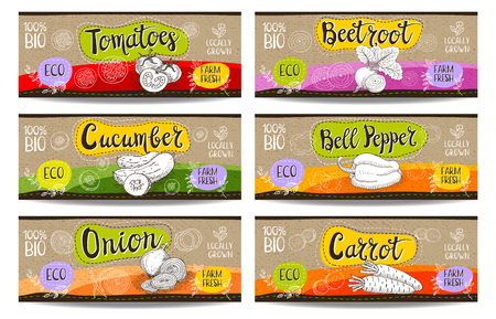 Set of colorful labels sketch style, food, spices cardboard texture horizontal. Carrot, onions, tomato, bell pepper, beet. Bio vegetables, farm, fresh locally grown. Hand drawn vector illustrationのイラスト素材
