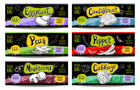 Set of colorful labels in sketch style food and spices black horizontal. Cauliflower, eggplant, peas, mushrooms, pepper, cabbage. Vegetables, farm fresh. locally grown. Hand drawn vector illustration.のイラスト素材
