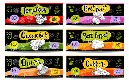 Set of colorful labels in sketch style, food and spices, black, horizontal. Carrot, onions, tomato, bell pepper, beet. Bio vegetables, farm, fresh. locally grown. Hand drawn vector illustrationのイラスト素材