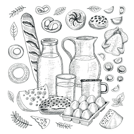 Food objects drawing elements. Sketch milk bottle mug poultry hen fresh bread cheese split carcass chicken wings legs chicken milk basket eggs jug spice herbs dumplings meat eggのイラスト素材