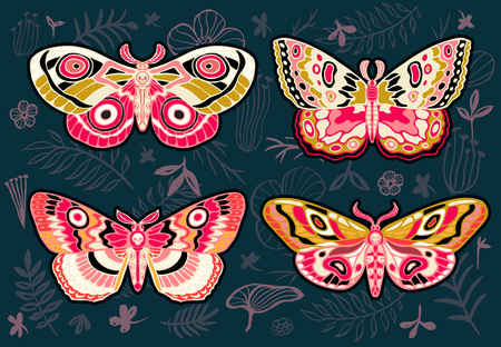 Collection of colorful butterflies, night tropical moths hawkmoth on floral background, vector insect set, vintage style, wings, flowers, leaves. Hand drawn vector illustrationのイラスト素材