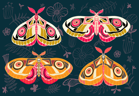 Collection of colorful butterflies, night tropical moths hawkmoth on floral background, vector insect set, vintage style, wings, flowers, leaves. Hand drawn vector illustrationのイラスト素材