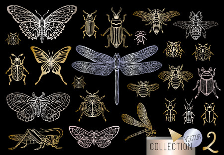 Big hand drawn golden line set of insects bugsのイラスト素材