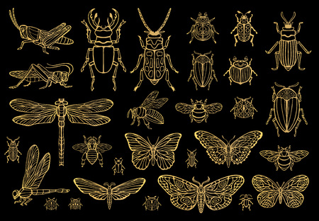 Big hand drawn golden line set of insects bugsのイラスト素材