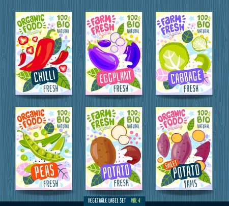 Abstract splash Food label template. Vegetables, fruits, spices, package design. Chilli pepper, cabbage, green peas, eggplant, yams, sweet potato Organic fresh Vector illustrationのイラスト素材