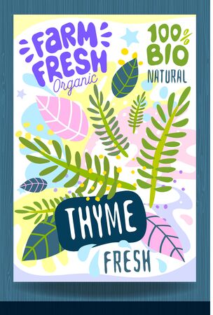 Abstract splash Food label template. Colorful brush stroke. Vegetables, fruits, spices, package design. Thyme, herbs, green Organic fresh Vector illustrationのイラスト素材