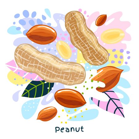 Fresh peanut juice splash organic food condiment spice splatter. Spicy herbs nuts. Abstract colorful art splatter splash background. Vector hand drawn illustrationのイラスト素材