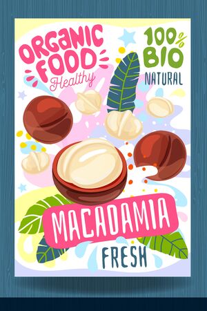 Abstract splash Food label template. Colorful brush stroke. Nuts, vegetables, herbs, spices, package design. Macadamia. Organic fresh Vector illustrationのイラスト素材
