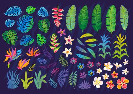 Set of abstract tropical plants, flowers, leaves. Vector design elements. Wildlife colorful floral jungle. Rainforest art background. Hand drawn vector illustrationのイラスト素材