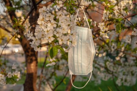 Protective medical mask on the branches of spring trees. Coronavirus quarantine conceptの写真素材