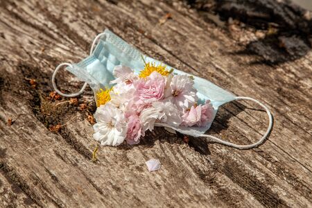 Spring flowers lie inside a protective individual medical mask on a wooden background. Sakura, dandelion. Coronavirus quarantine concept.の写真素材