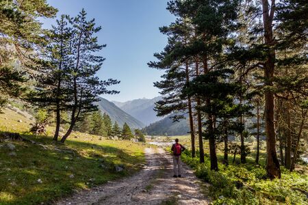 Young male traveler and adventurer with big red backpack in the forest, man alone in the forest, man walking on forest road. Beautiful scenic view with a man looking and enjoying the forest scenery.の写真素材