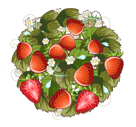 Vector illustration of strawberry fruit ring with water dropsのイラスト素材