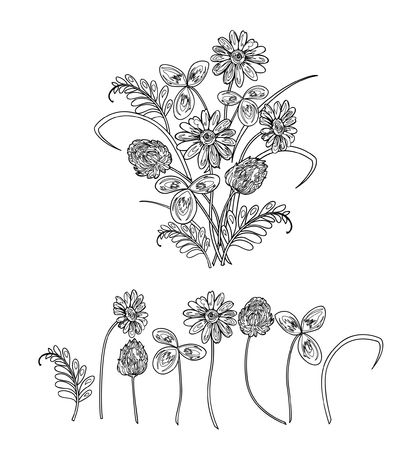 Vector illustration of bouquet made from wildflowers. Clower, trefoil, chamomile and green grass. Black and white sketch.のイラスト素材