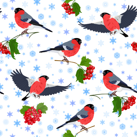 Vector illustration of bullfinch, guelder-rose and snowflakes seamless pattern. Colorful birds and berries on top of blue snowflakes background.のイラスト素材