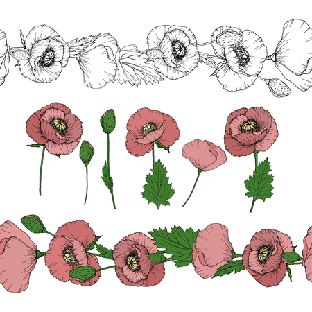 Black and white floral elements vector isolatedのイラスト素材