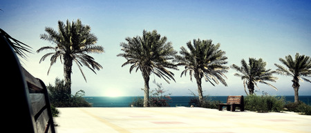 amin,shahabi                          の写真素材