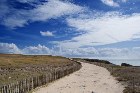 Trails in the dunes on the wild coast of Quiberon, Brittanyの写真素材