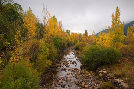 trees next to a river with fall colorsの写真素材