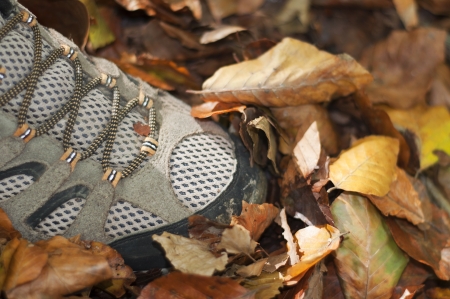 mountain shoe stepping on a pile of dry leaves