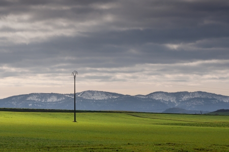 green fields of cereal and mountains on a cold morning with fogの写真素材