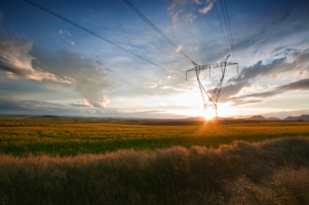 Sunset in cereal fieldsの写真素材
