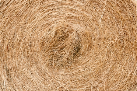 Grass bale texture backgroundの写真素材