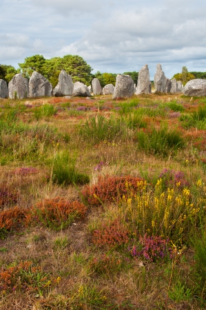 Carnac megalithic stones, Brittany, Franceの写真素材