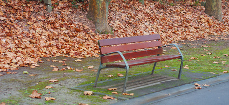 Bank in a park full of autumn leaves
