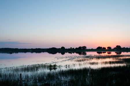Sunset or sunrise at a lake, with trees and grass reflectionの写真素材