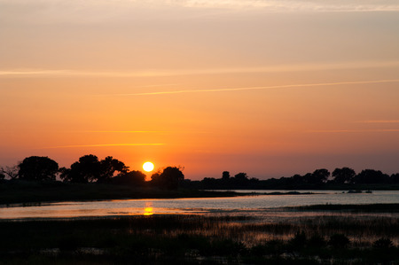 Sunset on a lake, trees silhouettes and orange skyの写真素材